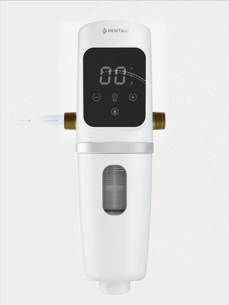 9001cc金沙以诚为本(中国集团)有限公司官网